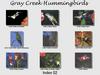 [GrayCreek Hummingbirds] Index 002