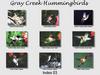 [GrayCreek Hummingbirds] Index 003