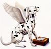 [zFox SDC Illustrations IS09] Daniel Kirk - Winged Dalmatian