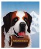 [zFox SDC Illustrations IS09] Ben Luce - Saint Bernard