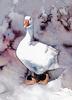 [zFox SDC Illustrations IS09] Rae Ecklund - Domestic Goose