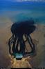 [B14 SLR: Yann Arthus-Bertrand] Waste water from a seawater desalination plant in Al-Doha