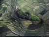 [B14 SLR: Yann Arthus-Bertrand] Island amidst the terraced rice paddy-fields of Bali