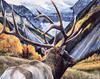 [Danielle scan] A Mountain Alphabet by Andrew Kiss - Aa