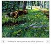 [Danielle scan] A Mountain Alphabet by Andrew Kiss - Yy