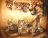 [Animal Art - Guido Leber] Cheetahs