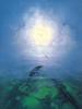 [Animal Art - John Pitre] Dolphin Serenity