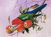 [Flowerchild scan] Eric Shepherd - 2002 Australian Birds Calendar - King Parrot
