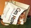 [Flowerchild scan] Charles Wysocki - 2002 Cat Calendar