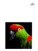 [WYscan CSA Witness] Parrot
