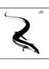 [WYscan CSA Witness] Skink