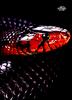 [WYscan CSA Witness] Snake