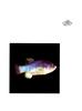 [WYscan CSA Witness] Fish