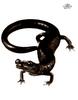 [WYscan CSA Witness] Salamander