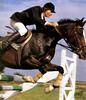 [Equus-SDC Horses] Flight II