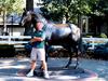 [Equus-SDC Horses] Bama@Secretariat Memorial