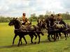 [Equus-SDC Horses] King's Troop of the Royal Horse Artillery