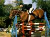 [Equus-SDC Horses] Flight III