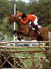 [Equus-SDC Horses] Norman Della Joio on I Love You