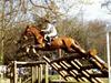 [Equus-SDC Horses] Edward Pybus on Good News
