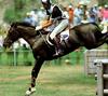[Equus-SDC Horses] Mark Todd on Charisma