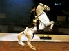 [Equus-SDC Horses] Lippizan Performing the Levade