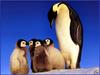 [PinSWD Scan - Taschen Calendar] Emperor Penguin And Chicks