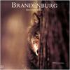 [Fafnir Scan - Jim Brandenburg] 'Brother Wolf' - 1998 Calendar