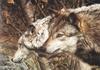 [Carl Brenders - Wildlife Paintings] The Companions (Gray Wolves)