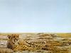 [Robert Bateman] Cheetah Siesta
