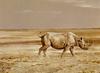 [Robert Bateman] Rhinoceros at Kilimanjaro