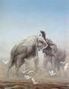 [Robert Bateman] Sparring Elephants