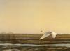 [Robert Bateman] Whistling Swan, Lake Eric