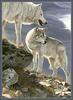 [CameoRose scan - Al Agnew] Gray Wolves