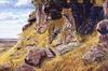 [EndLiss scans - Wildlife Art] Al Agnew - King of the Hill (Leopard)