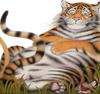 [EndLiss scans - Wildlife Art] Nicola Bayley - Tiger