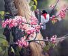 [EndLiss scans - Wildlife Art] Susan Bourdet - Rose & Rosebud - Rose-breasted Grosbeak