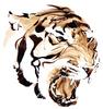 [EndLiss scans - Wildlife Art] Rick Bryant - Tiger face