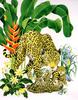 [EndLiss scans - Wildlife Art] Tony Chen - Jaguars