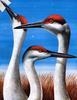 [EndLiss scans - Wildlife Art] Wendell Minor - A Traditional Frogs Curse (Cranes)
