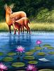 [EndLiss scans - Wildlife Art] Wendell Minor - Pond (Deer)