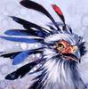 [EndLiss scans - Wildlife Art] Bill Moomey - Secretary Bird