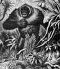 [CPerrien Scans CD02 - Animals(Pen Drawing)] Orangutan