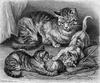[CPerrien Scans CD02 - Animals(Pen Drawing)] Cats