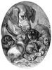 [CPerrien Scans CD02 - Animals(Pen Drawing)] Dogs