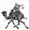 [CPerrien Scans CD02 - Animals(Pen Drawing)] Camel