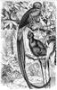 [CPerrien Scans CD02 - Animals(Pen Drawing)] quetzal