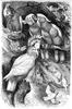 [CPerrien Scans CD02 - Animals(Pen Drawing)] cockatoo