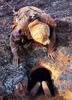 [achAT-scans] Chasing Pythons in Cameroon(1997)