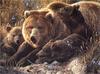 [Elon Animal Scans] Painted by Carl Brenders, Close to Mom (Brown Bears)